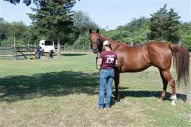 LR-WRF 08022025-Retreat-3016